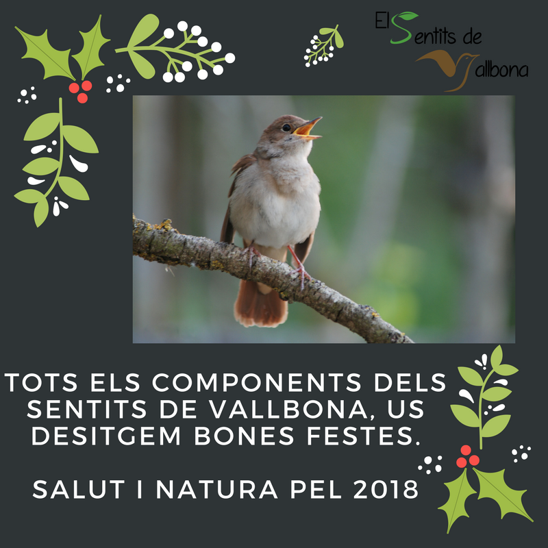 minervaselles's tweet photo. Tots els components d´ #elsentitsdevallbona us desitja molt bones festes!! #Nadal2018 @Agents_Rurals @GEMAtarrega @torredelcodina @ObaguesdelCorb  @ElsCorremarges @EspaisPonent @estanyIvarsVila @GisferaCoop @ICOcells @aralleida @lleidaenverd @planetesmarins @TurMontblanc https://t.co/OIaTnf6F8Q