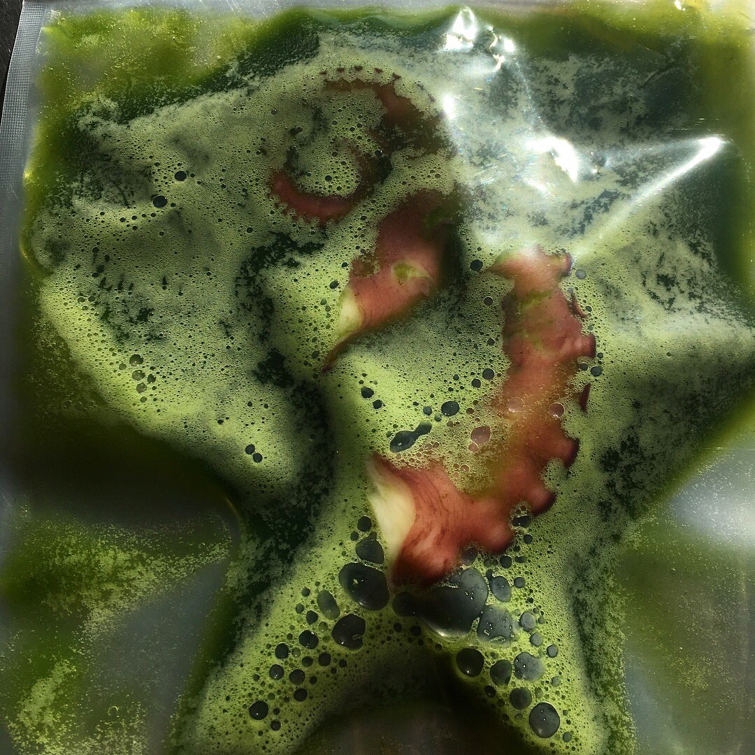 IvanMendezChef's tweet photo. #Osmosis...Pulpo en un licuado de Codium, @planctonmarino y agua de mejillones...#ModoPruebas...#GaliciaMola... https://t.co/32MT2va481
