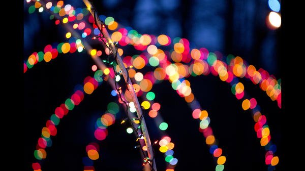 laurelleader's tweet photo. PHOTOS: Laurel residents deck the halls with more than just holly. Click for more pics of holiday decorations around town: https://t.co/bqQjoWoO4y https://t.co/w3fy1TPGVM