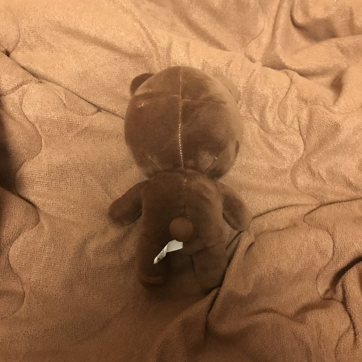 730109com's tweet photo. 🐻초코웅🐻 5만원 + 배송비별도로 분양합니다. 시즌그리팅과 묶음배송이 가능하고(추가배송비1000원) 초코웅만 별도분양 또한 가능합니다! 별도분양은 DM주세요! https://t.co/NEWR8lGZNI