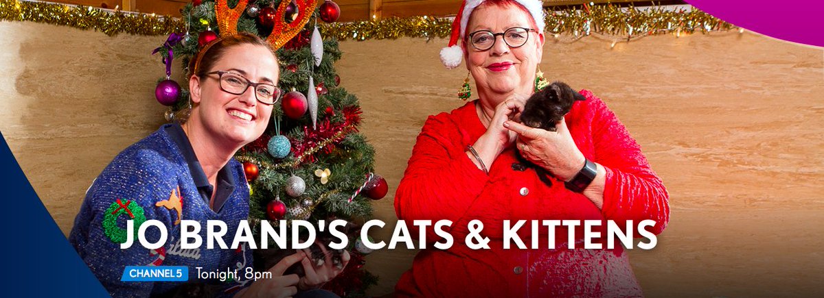 CodaPost's tweet image. Tonight on Channel 5, Jo Brand spends Christmas morning at Laybourne animal centre. #catsandkittens #codawork