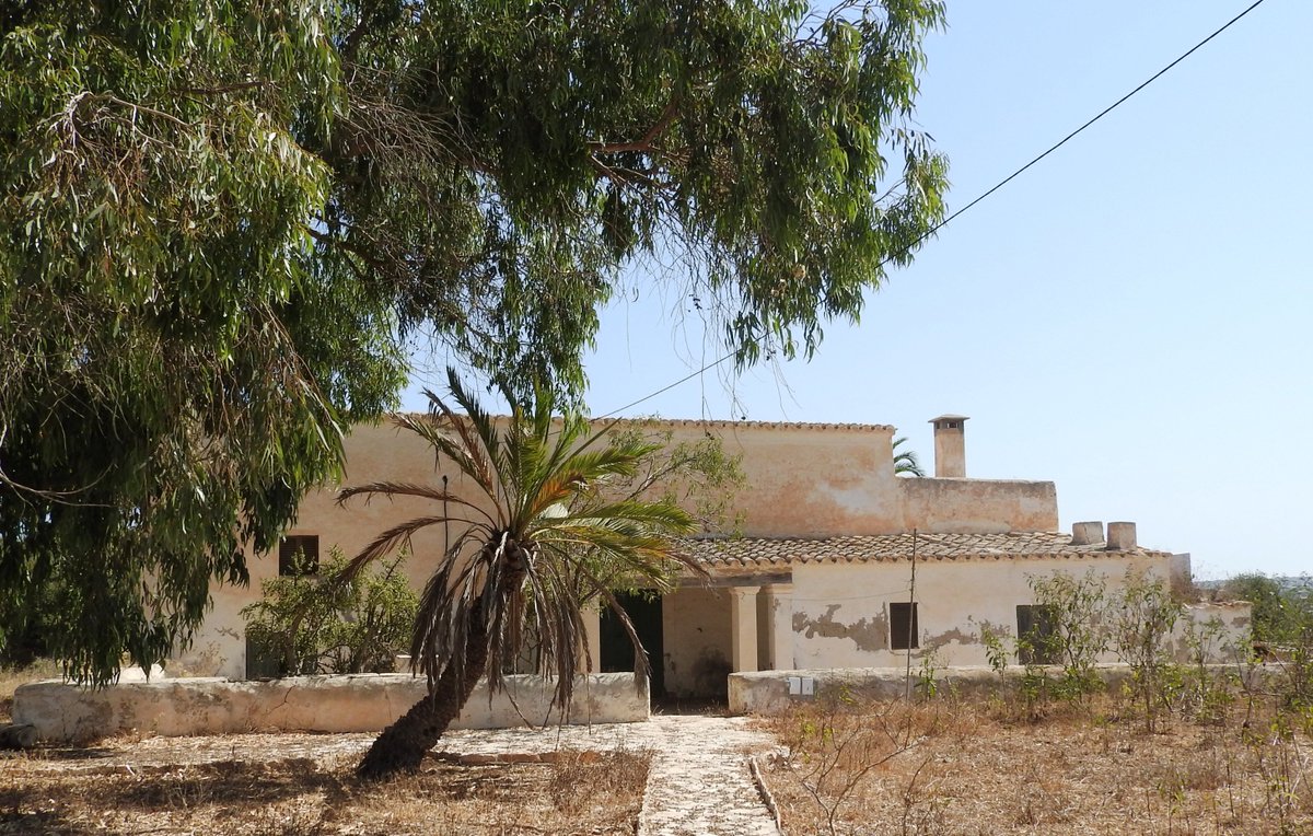 CulturaGOIB's tweet photo. El @consellinsular de Formentera adquireix la finca de sa Senieta gràcies a l'aportació del @goib d'un milió d'euros procedent de l'Impost de Turisme Sostenible i mig milió més aportats per la Conselleria de Cultura, Participació i Esports https://t.co/nabxHMiJSf https://t.co/TpG5h2tlFF