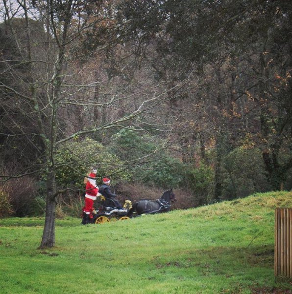 Whoa!!
A glimpse of Santa 🎅
Kindly sent in by Caz Glennie
#carriagedriving