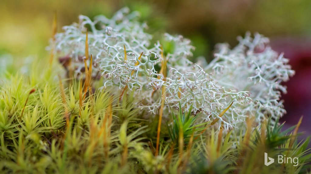 Land, sky, and water meet in this view of Bacuit Bay from El Nido, Palawan, Philippines. Bing.com