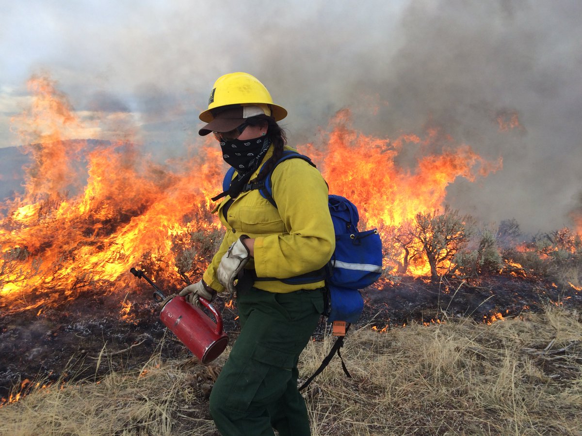 The Corps Network tweet media