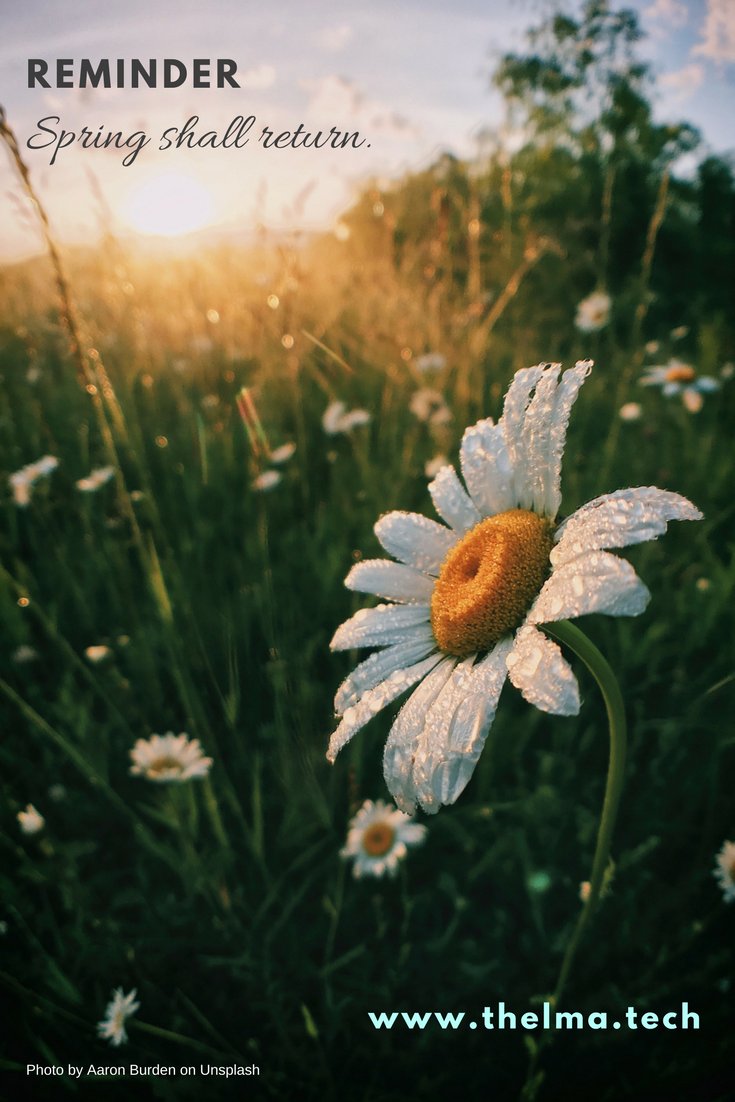 ThelmaTech's tweet image. There&apos;s so much stress during the holidays - good and bad. We can&apos;t feel happy every second of every day. When we do get down, let&apos;s try to remember that there is always beauty, hope, and renewal.