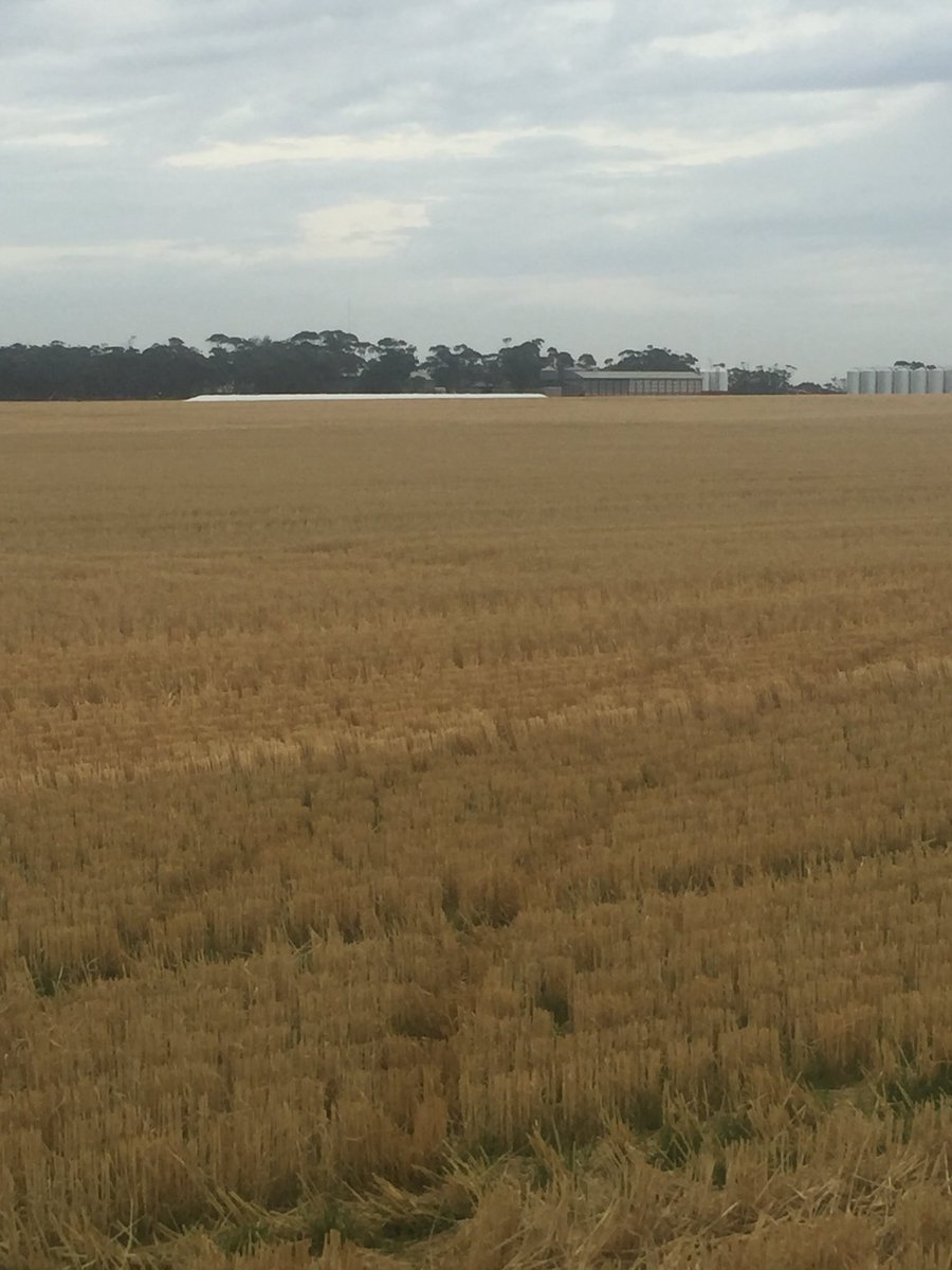 Could’ve been worse.....