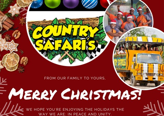 CountrySafaris1's tweet photo. Happy Holidays! https://t.co/gqjhJWYFom