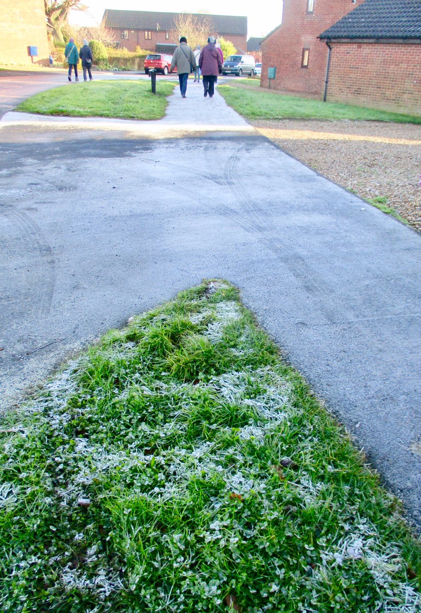 asanderson197's tweet image. #Frost on ground for our group's #walk today made surfaces slippery.  Luckily no-one fell.  I certainly wouldn't want to fall on a badly #sprained wrist I have.