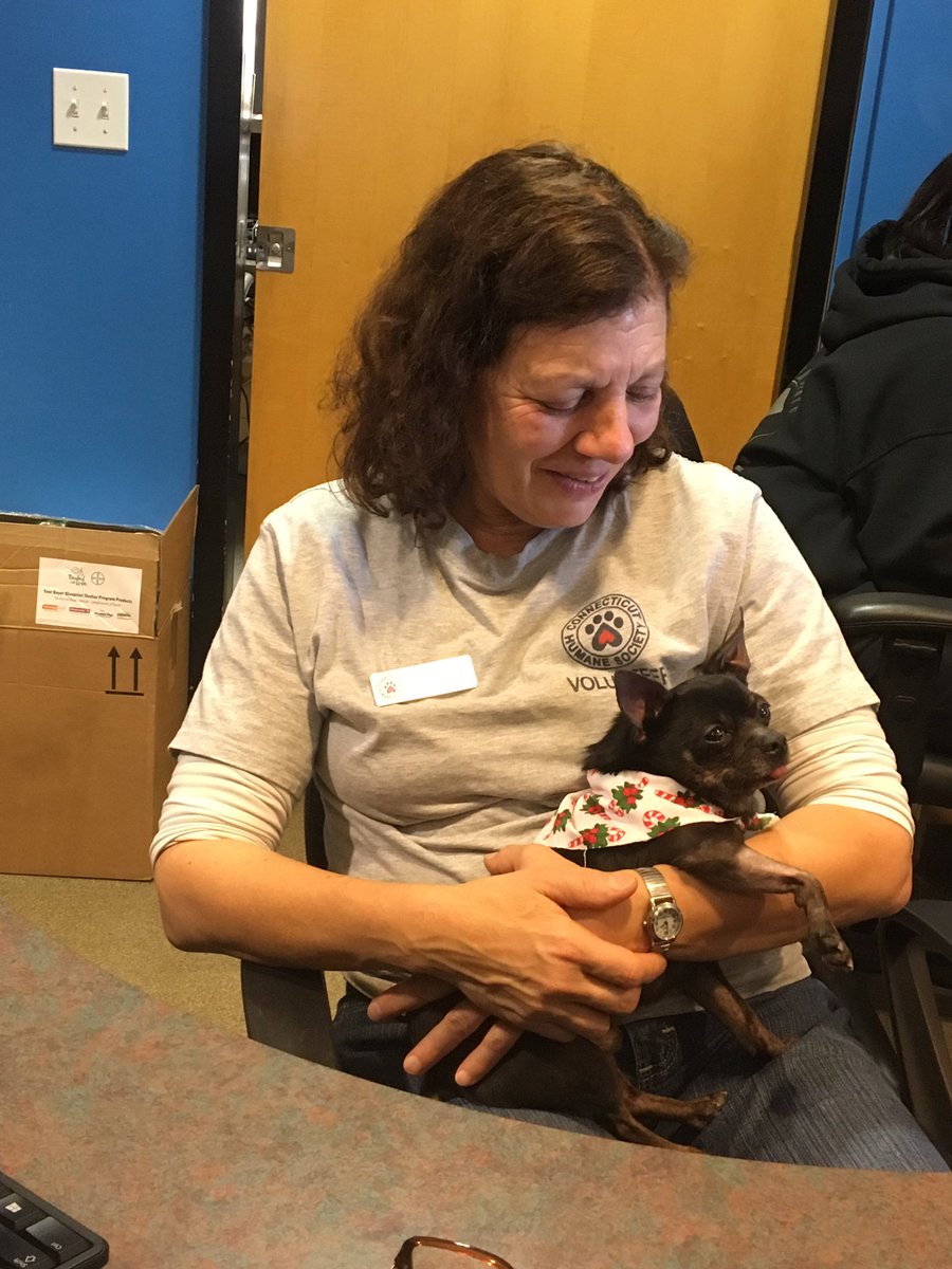 cthumane's tweet photo. Kobe, take a break from the snuggles--it's your turn to answer the phone! #FrontDeskHelper #Adoptable #CThumane https://t.co/A8C7r4YdIm