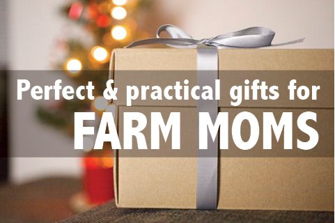 FarmDirectory's tweet image. A Farm Mom's Christmas Gift Wish List 
Farm women can be hard to shop for. This brings up many challenges around Christmas time. While practicality is nothing to frown at, this mindset makes it hard when asked what one wants for Christmas.
buff.ly/2oNKYDk