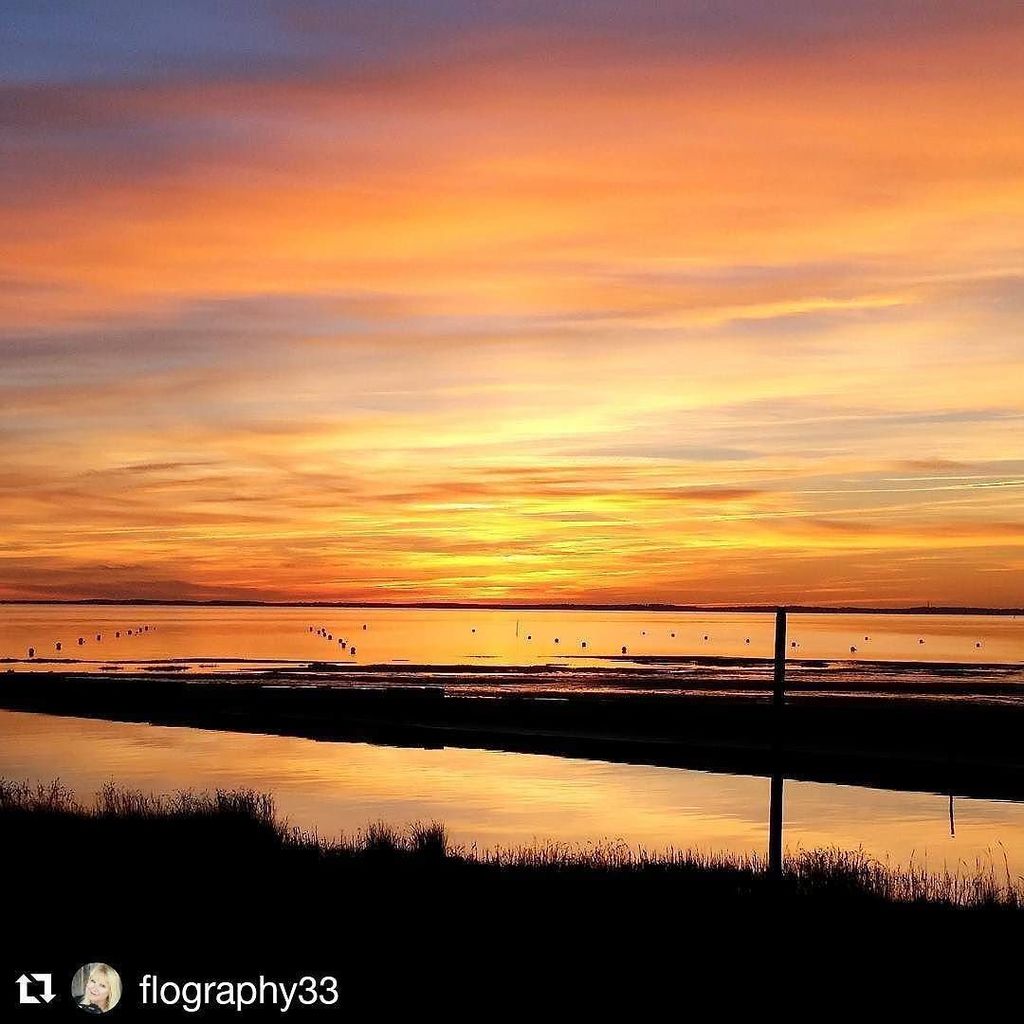 TVBA_fr's tweet photo. Une soirée au 💛 du #Bassindarcachon #4saisons #CoeurBassin #Sunset #Lanton #Landscape #Nuances #Environnement #Préservation #Parfait #Love #Night #Magic #Beautiful #Sun #Décembre #Photodujour #Igersgironde #Instapic #Instagood #Follow #Espritbassin https://t.co/2VHHEbK4EU https://t.co/CMBwbqSzK7