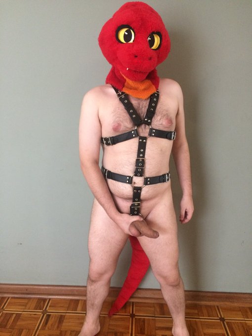 took a few more, im loving the harness so much. https://t.co/3091PIgtQC