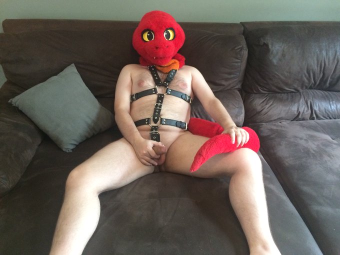 took a few more, im loving the harness so much. https://t.co/3091PIgtQC