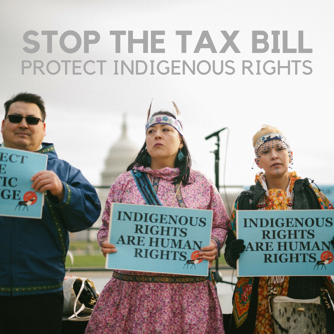 We need your voice to help defeat the GOP #TaxBill! A vote for the bill is a vote to violate #IndigenousRights and to destroy the #ArcticRefuge. Text “TREE” to 21333 for information on how to call Congress. #ProtectTheArctic