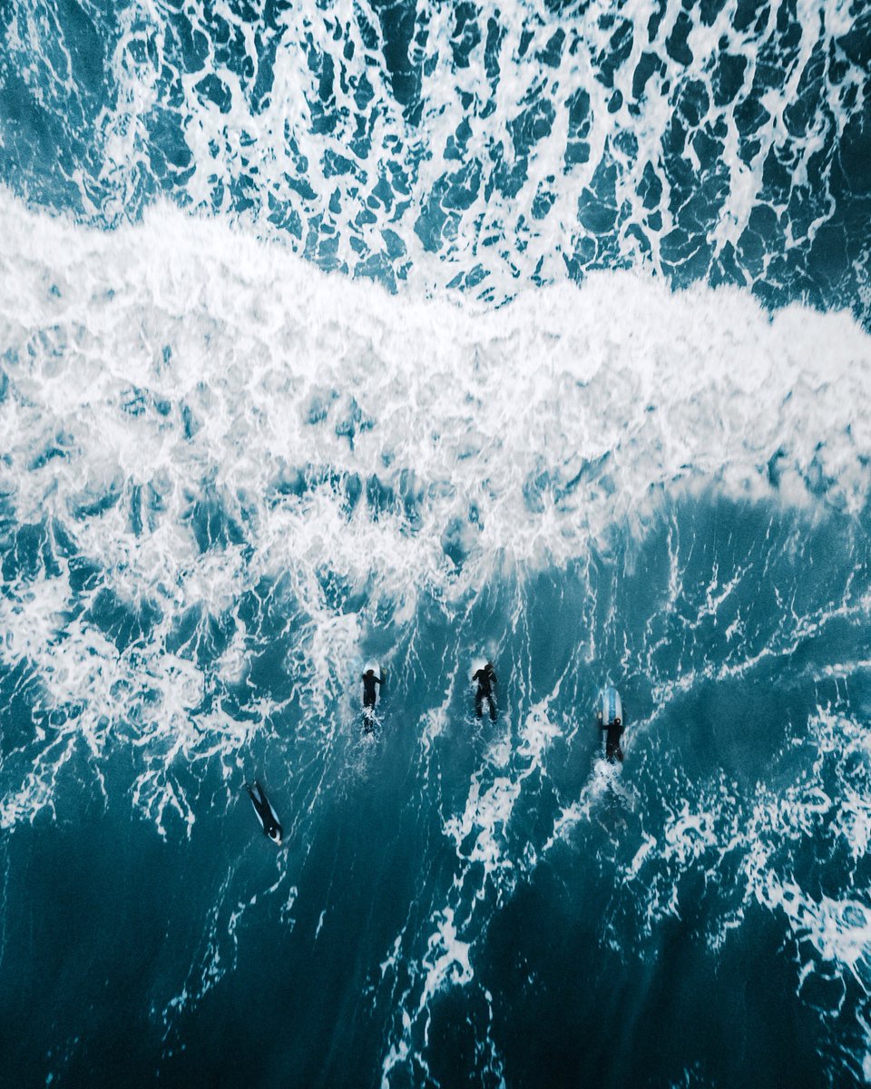 FinnHarries's tweet photo. We received hundreds of amazing submissions through the @project1324 climate art challenge! Here are some of my favourite pieces by @FrancescaaPage, @SamMcAllister, and @ShaunRyken #artforimpact #adobepartner https://t.co/LT05gu1RZa