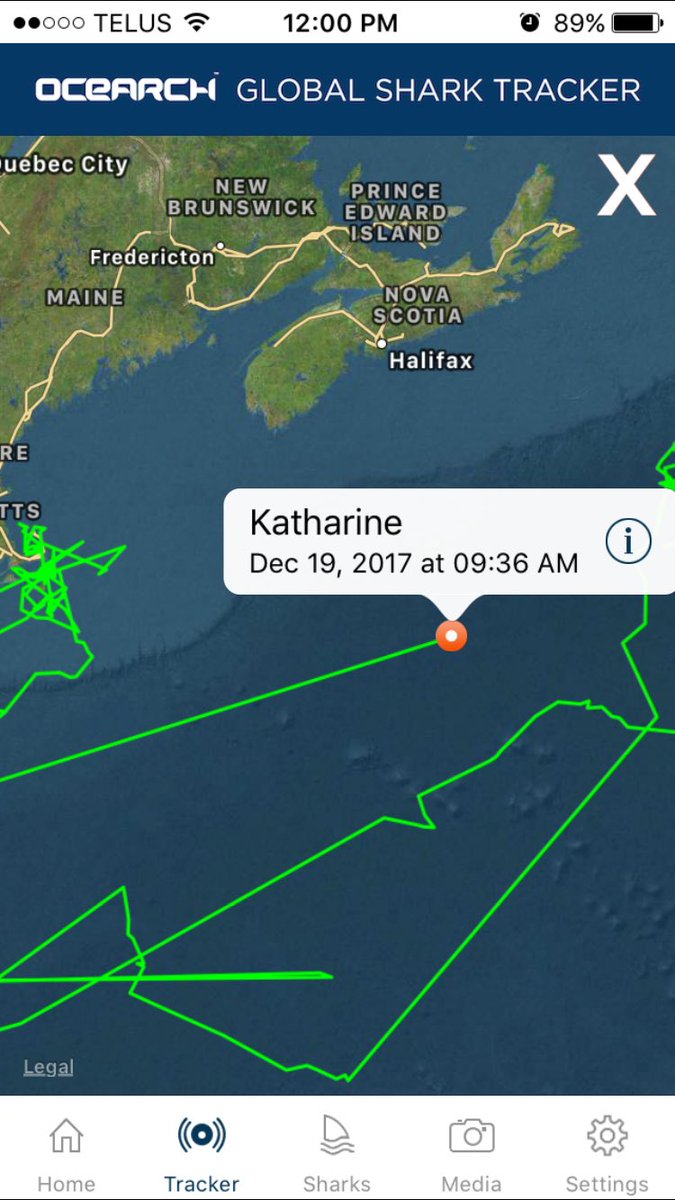 stephosadchuk's tweet photo. @Shark_Katharine finally pinged!  She's in the North Atlantic, due south of Nova Scotia, and due east of New York.  She was 1300lb, 14'2" when she was tagged in Aug 2013.  I wonder, how much she has grown. @OCEARCH https://t.co/ULVstUerLT