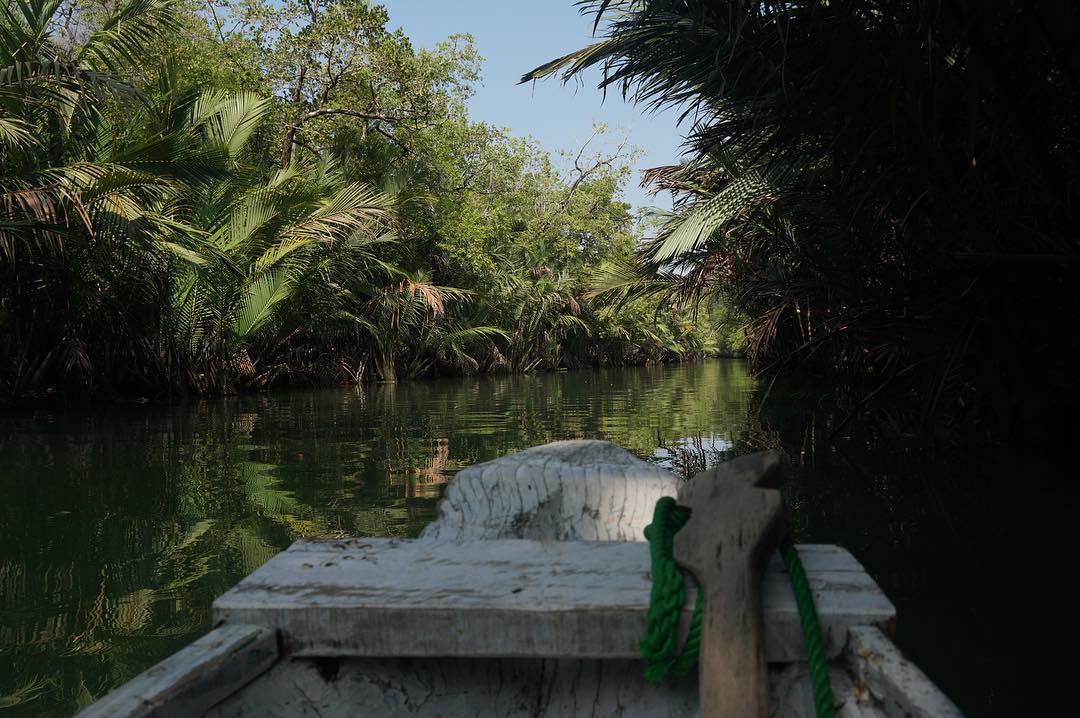sebumi_id's tweet photo. Sungai Cigenter di Taman Nasional Ujung Kulon ini memiliki arus yang tenang dengan airnya yang bewarna kehijauan. 
Foto oleh https://t.co/Zqrv2T64hI
#sebumi #sebumiberbagi #traveltoconnect #ayoketamannasional #ujungkulon #sungaicigenter https://t.co/jNkKHH5RtO