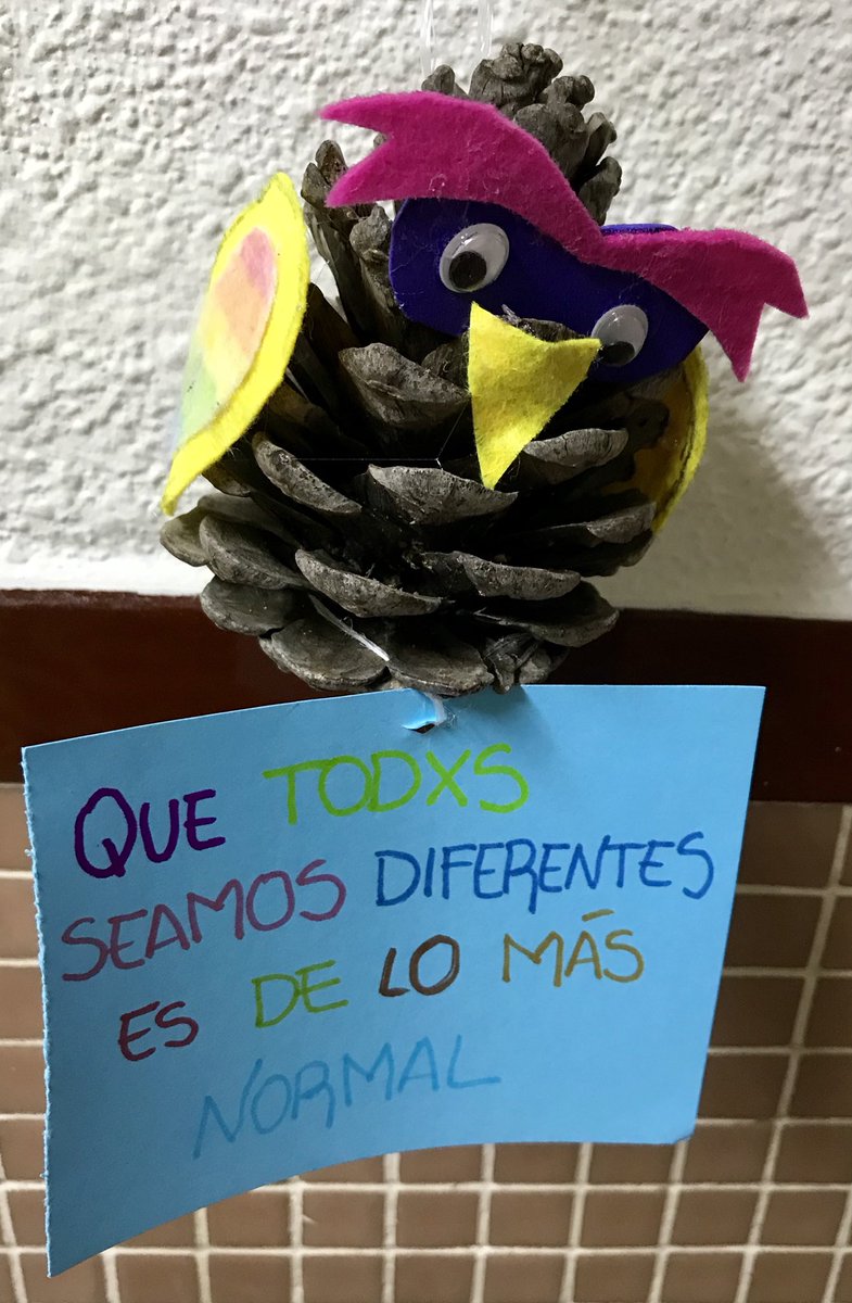 misericordiacip's tweet photo. ¡Qué misterio...! Unos búhos muy especiales han aparecido por el Instituto.🦉🤔 https://t.co/JBbjXjPteT