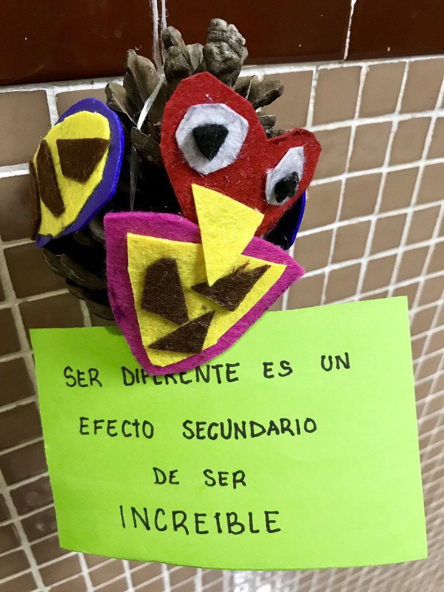 misericordiacip's tweet photo. ¡Qué misterio...! Unos búhos muy especiales han aparecido por el Instituto.🦉🤔 https://t.co/JBbjXjPteT