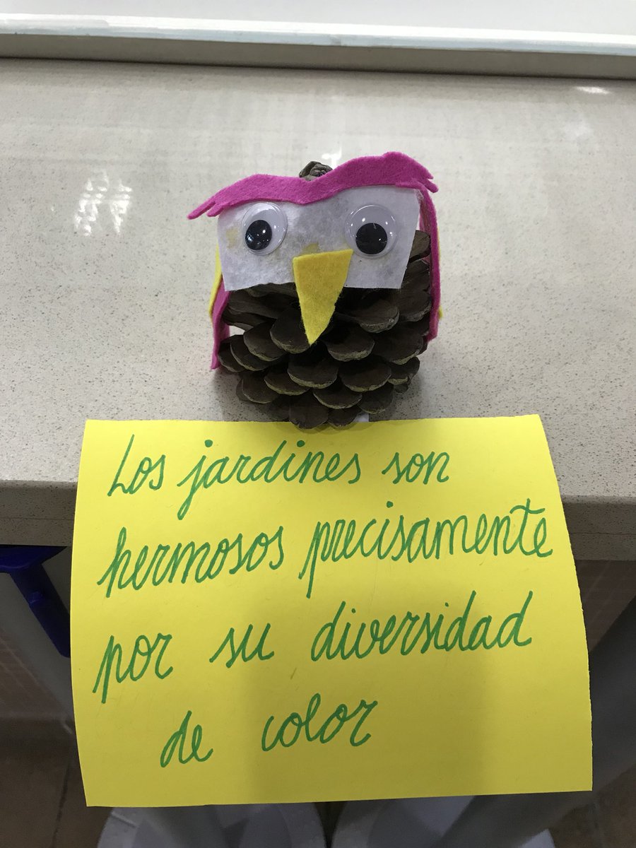 misericordiacip's tweet photo. ¡Qué misterio...! Unos búhos muy especiales han aparecido por el Instituto.🦉🤔 https://t.co/JBbjXjPteT