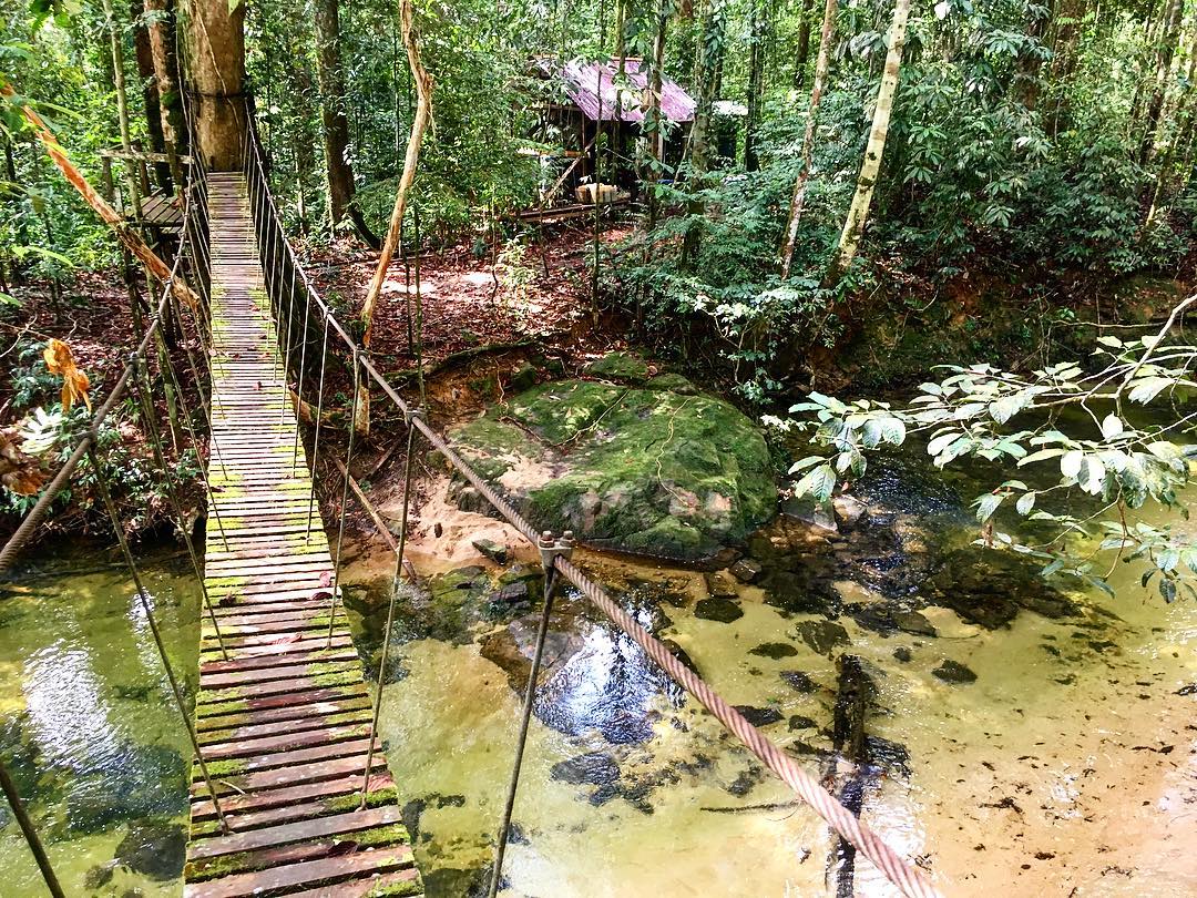 sebumi_id's tweet photo. Serunya berpetualang di TN Gunung Palung sambil belajar tentang keistimewaannya.
Foto oleh https://t.co/p1WUzAzGLL
#sebumi #sebumiberbagi #traveltoconnect #ayoketamannasional #gunungpalung https://t.co/fNpzITzbJD