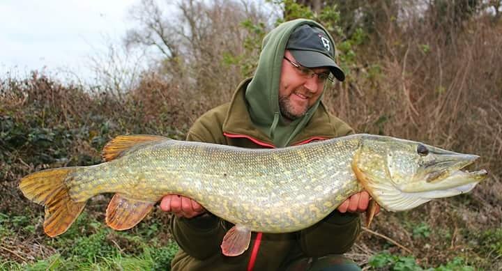 BaitTech's tweet photo. Bait-Tech's Ben Hart has been targeting pike on his local river while the lakes are frozen and he banked this 19lb 14oz pike using Predator Plus flavoured deadbaits.
#TeamBaitTech #Fishing #PredatorPlus https://t.co/Hqf4VlKdxr