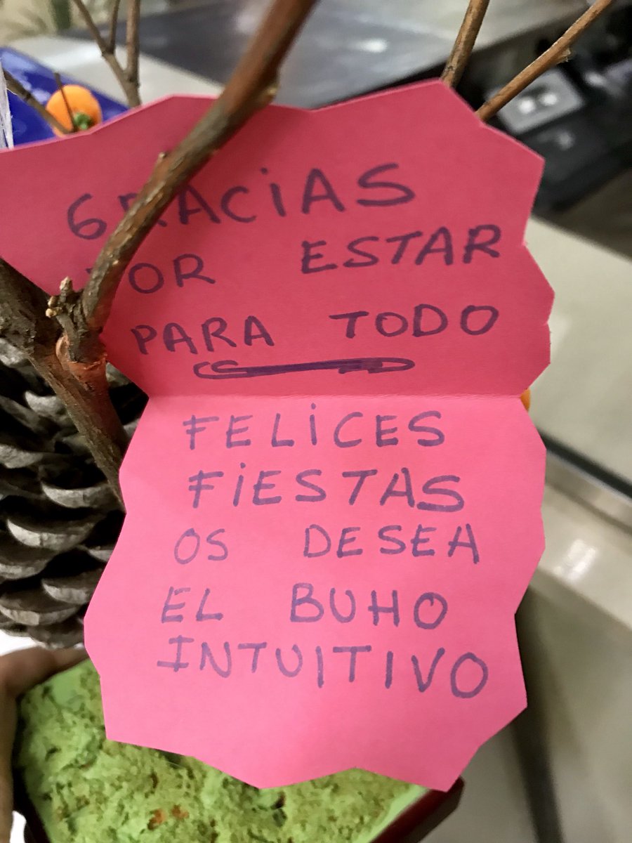 misericordiacip's tweet photo. Más búhos han aparecido en Conserjería con un mensaje muy especial. 🦉👇 https://t.co/m4MP8iOszd