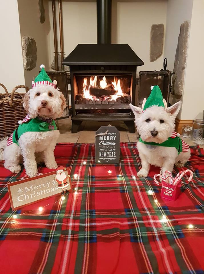 PenningtonLtd's tweet photo. We'd like to thank every single one of you who entered our Christmas Competition! 🎅🎄🐶 we have now decided on this years Top 3 (See below) and the winning one will be announced tomorrow. https://t.co/MUMJINi2xm