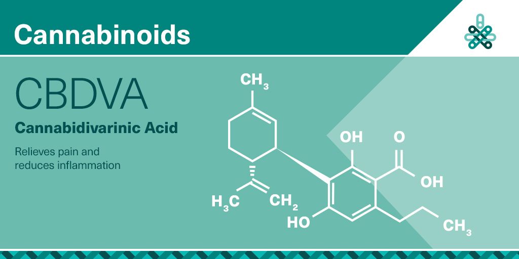 GrowWiseHealth's tweet photo. Cannabidivarinic acid (#CBDVA) is the acidic precursor to CBDV and shares some of the same properties found in CBD #Cannabinoids #ACMPR https://t.co/zAnq4zAzdM