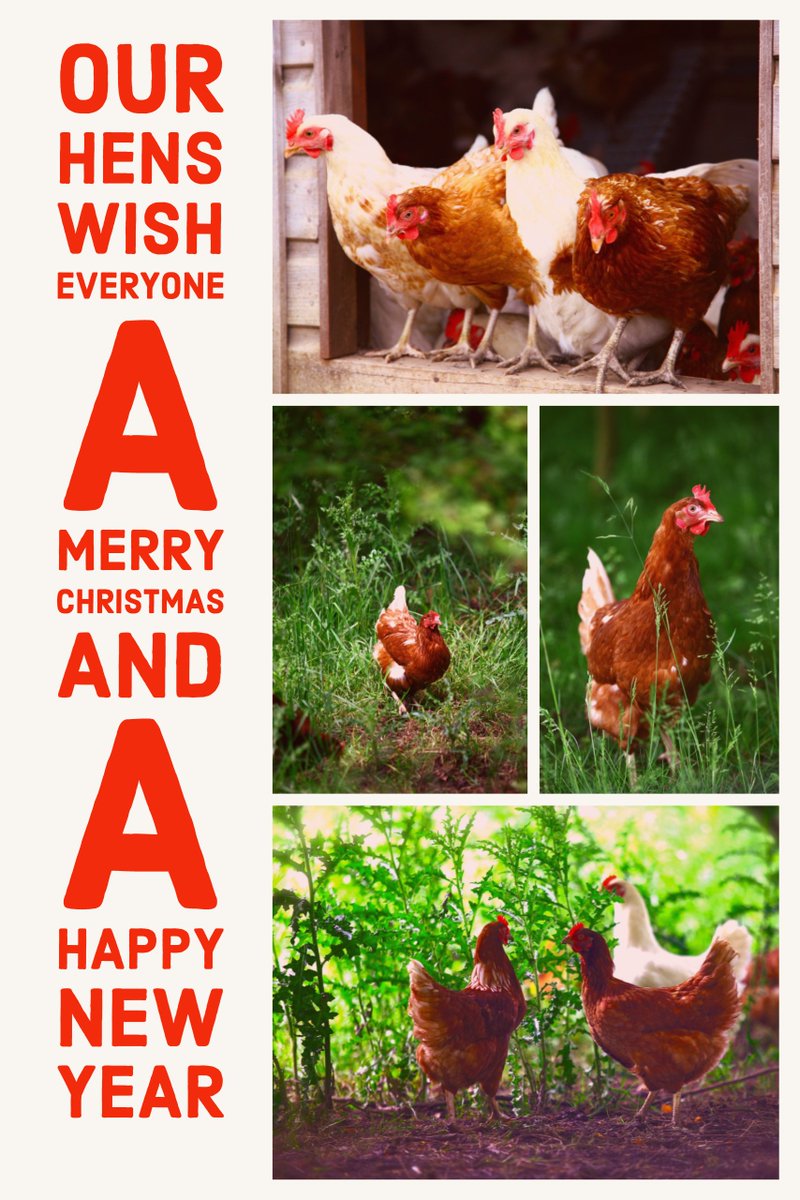 #Christmas #Healthbenefitseggs #eggs #Freerange #Loveeggs