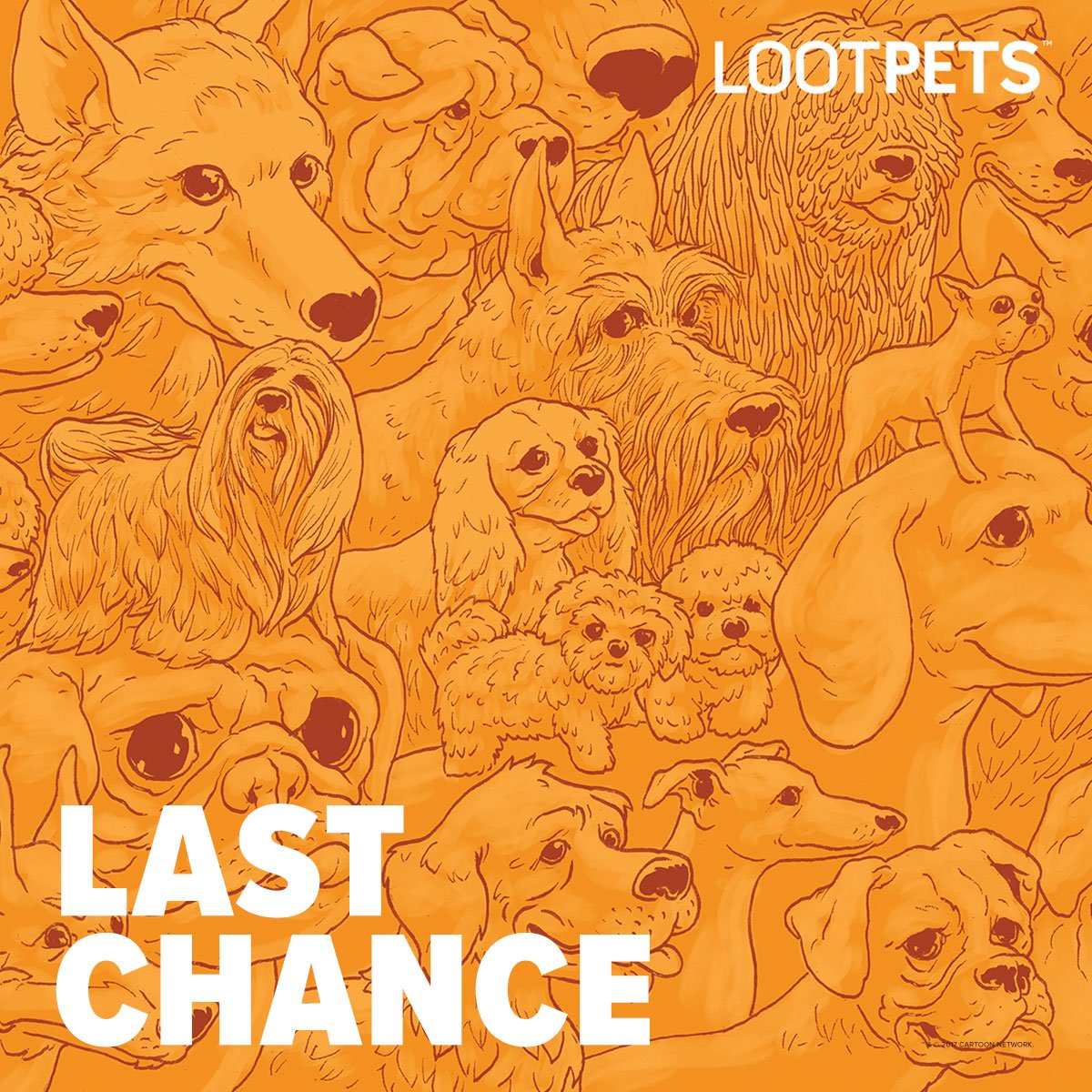 Loot Pets tweet media