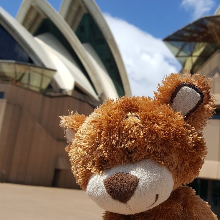 Enjoying the sunshine #tourist #holibobbear #adventuretime #amazingtimes #familyfun #love