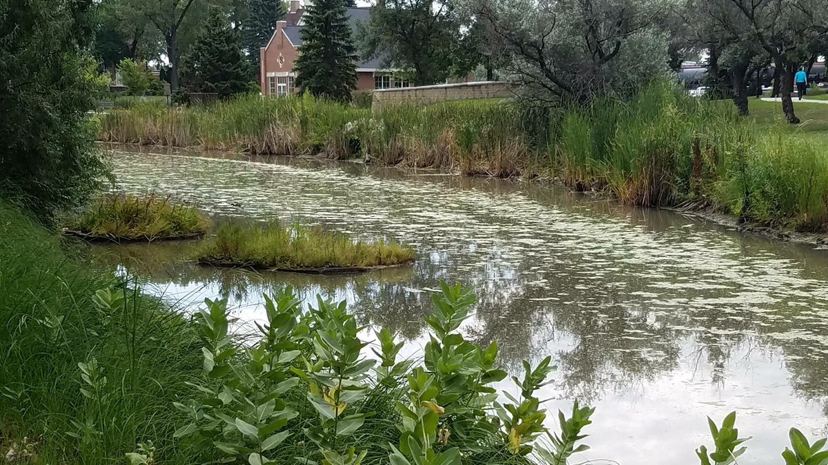 MFI_ISLANDS's tweet photo. Check out this great fall photo of our floating islands at the University of North Dakota. Big thanks to photographer Jacob Notermann. #UND https://t.co/OuQuAX4Yty