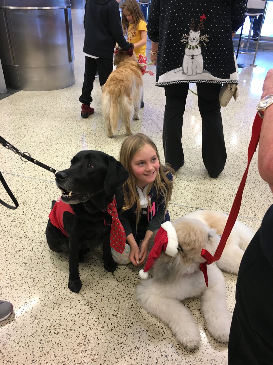 flyLAXairport's tweet photo. Happy holidays! Our #LAXPUPS can be found throughout #LAX this holiday season, decked out in their finest and ready to provide good cheer to travelers and staff alike!  #HappyHolidays #FlyLAX #TherapyDogs #DogsOfLAX https://t.co/Md9ZP2ojyT