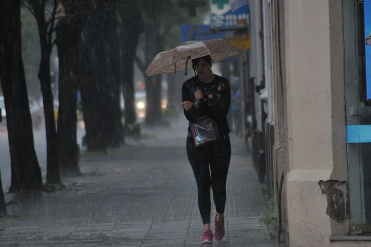Clima | Datos de lluvia caída en Las Colonias