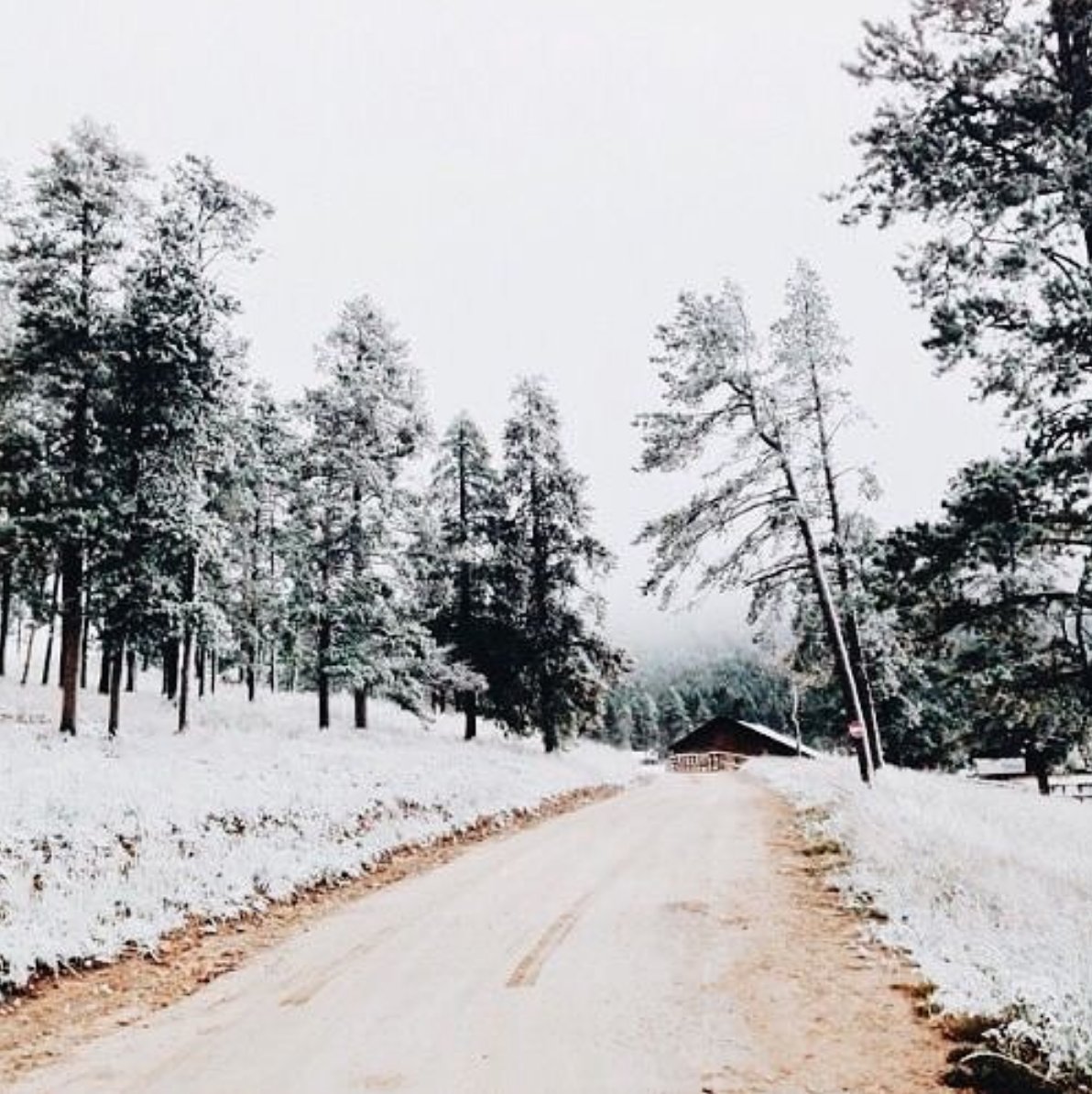 LPH_clothing's tweet photo. We’ll go wherever this snowy road takes us! We have all the cashmere sweaters to keep us cozy &amp; warm. ❄️🌲 #lphluxury (Image via Pinterest, follow us there too!) #sweaterweather #snowyroad #snow #cozy #cashmere https://t.co/oTpnwri0oV