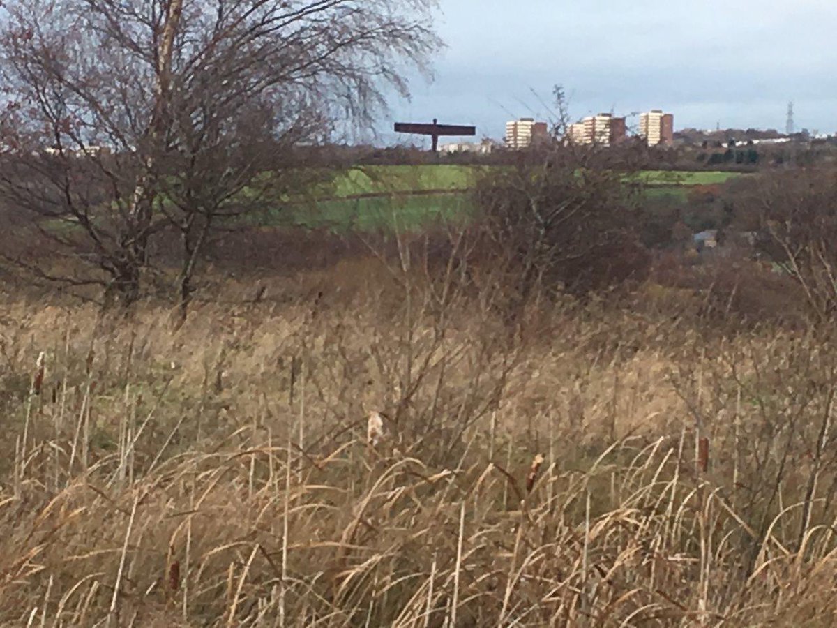 GeoscienceEA's tweet photo. Officers from @EnvAgencyYNE have been leading on a #contaminatedland investigation into a former landfill near #Newcastle which accepted a variety of wastes. This #Part2A assessment in collaboration with @DurhamCouncil will establish any risks to health & the wider environment https://t.co/s2DpazKibw