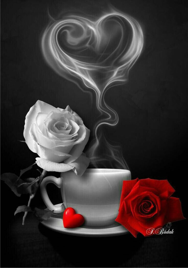 متابعيني كلهم ذوق واحساس
اعتز انا فيهم وهم راس مالي
ㅤ  
الرجل شهم وفيه عزه وجرناس
و البنت نشميه ومعيار غالي