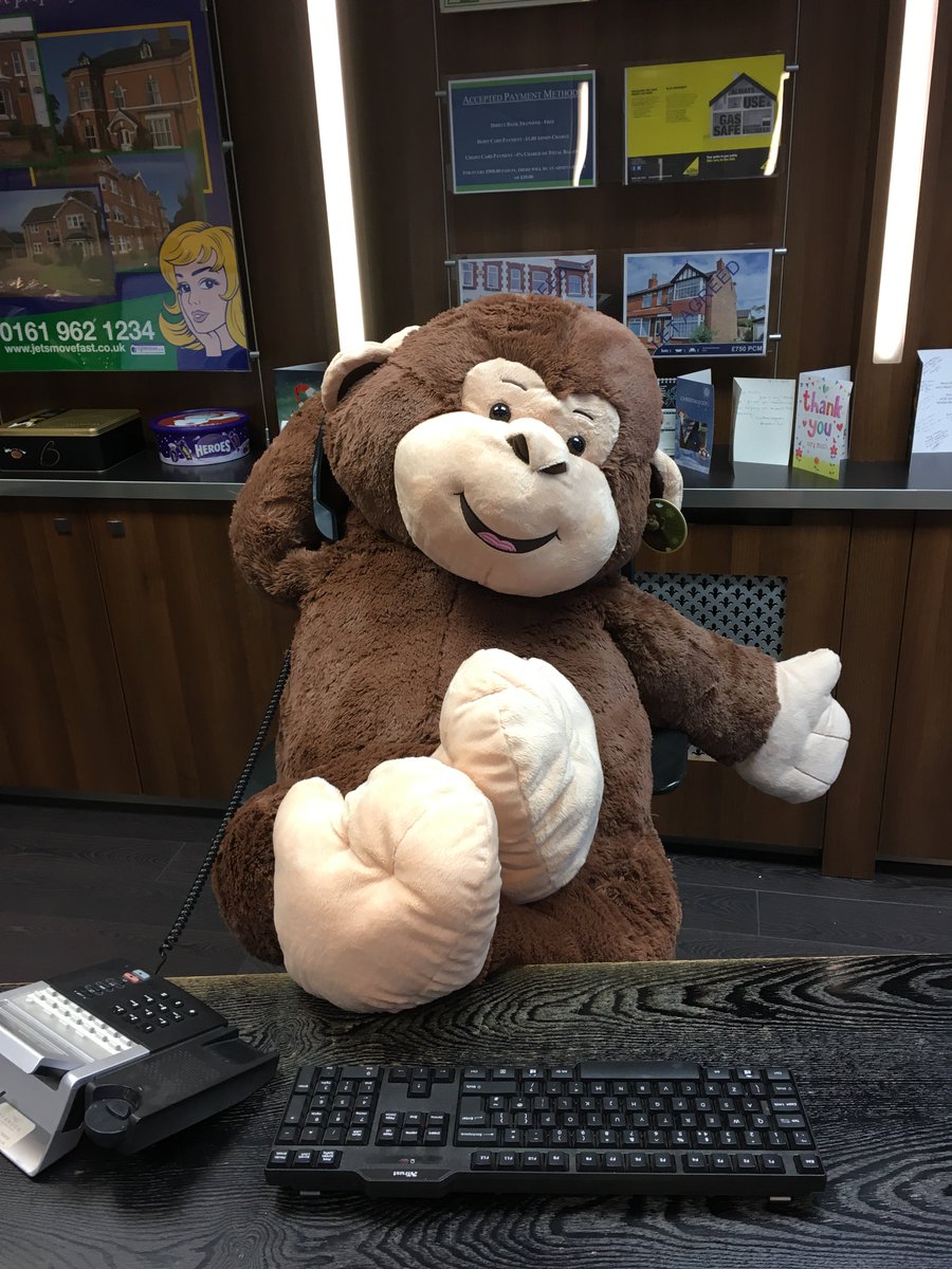 SATURDAY 23RD - WEDNESDAY 27TH DECEMBER 2017 CLOSED
Re-Open Thursday 28th December 2017 9.00am – 5.30pm
Friday 29th December 2017 9.00am – 5.30pm
Saturday 30th December 2017 9.00am – 5.00pm
31ST DECEMBER 2017 - 1ST JANUARY 2018  CLOSED
Open Tuesday 2nd January 2018 9.00am–5.30pm