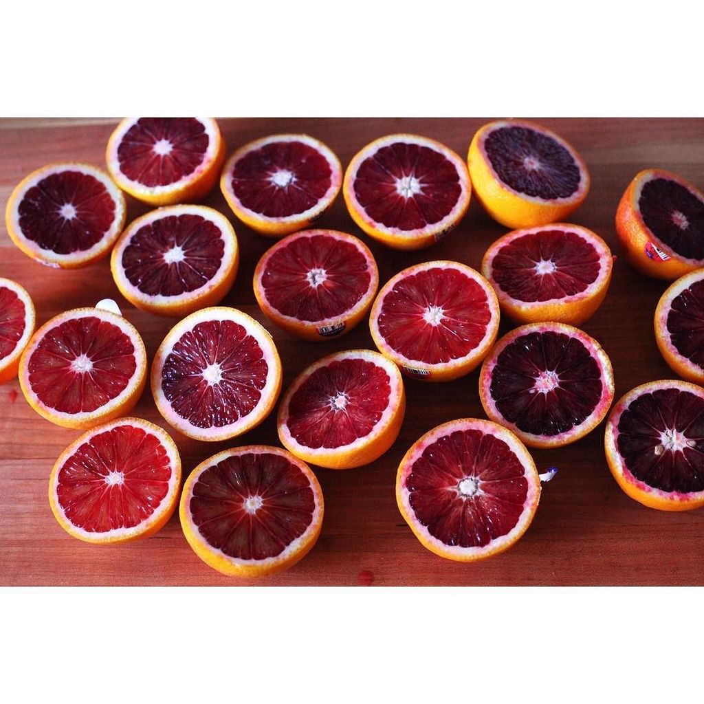bakingwopants's tweet photo. It's about to get very bloody here 🍊 -
-
-
-
-
-
-
-
-
-
-
-
-
#foodgram #foodstyling #orange #bloodorange #citrus #foodart #cooking #canon #fruit #baking #feedfeed #fresh #produce #canon_photos #food #dessert #cheflife #pastrychef #photography #food… https://t.co/kOy77UzVSp https://t.co/GYPmSJBnSj