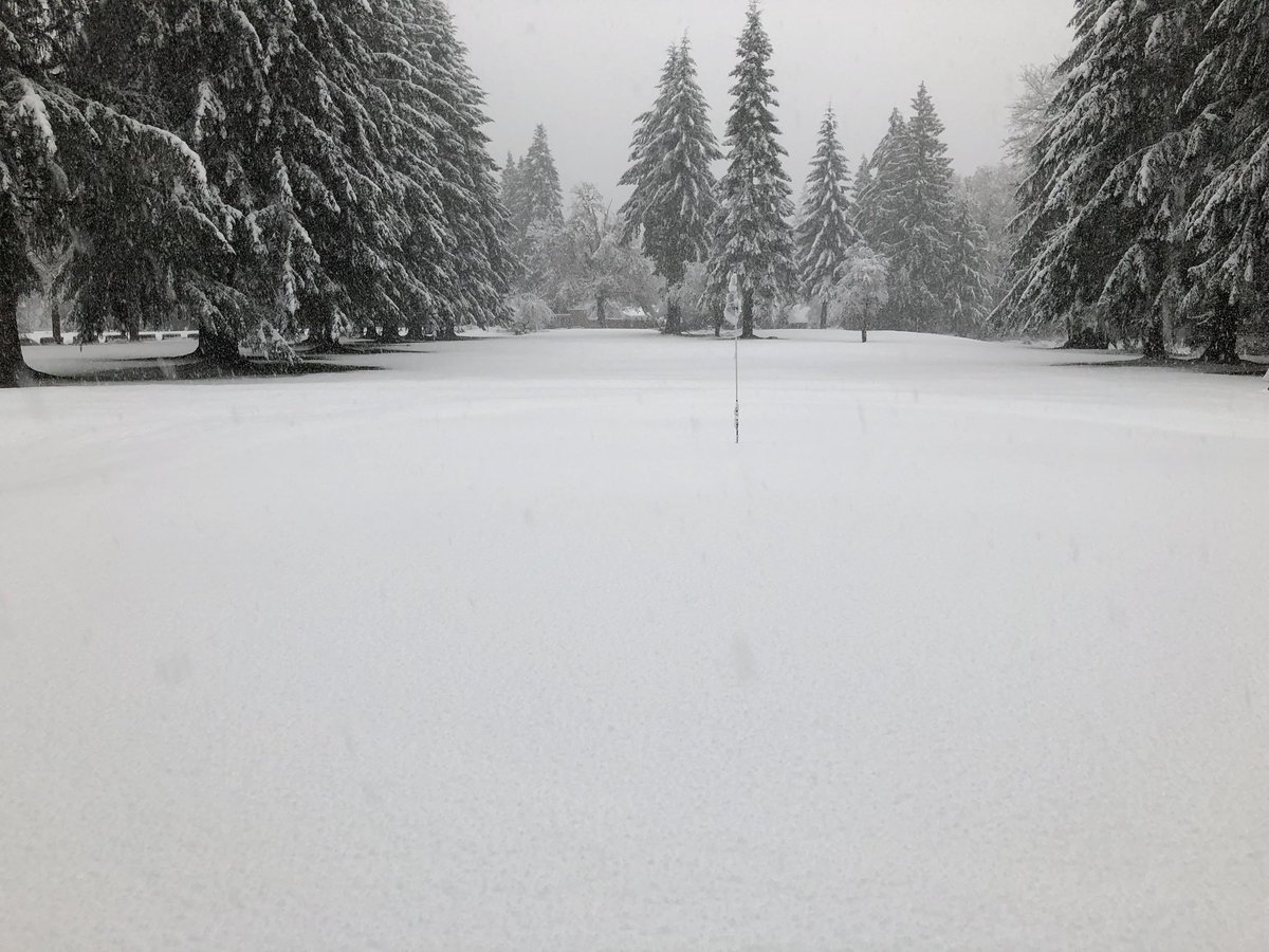 march_meadows's tweet photo. Snow day! https://t.co/bFMt1gtwRG