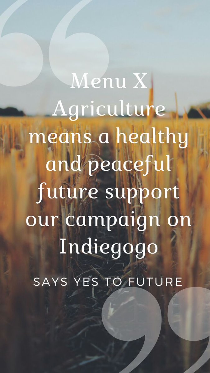 arfaamjadd's tweet photo. Healthy future = Peaceful future x #MenuX 
MenuX striving for secure &amp; healthful future by revolutionizing a basic need of man which is #food
#indiegogo #campaign #crowdfunding #fundraising #SDGs #startup https://t.co/cQXuW9InK3