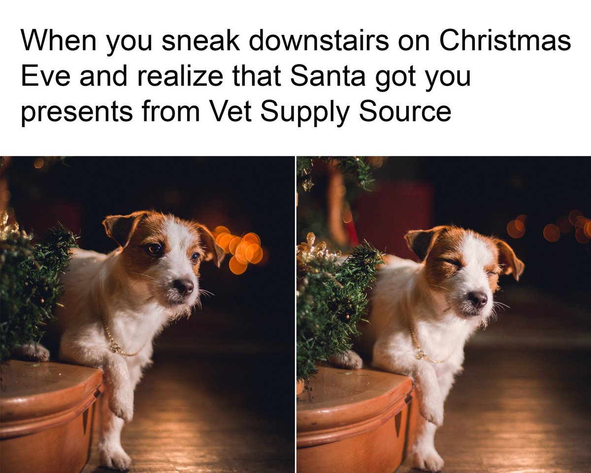 Tis the season 🎁 Treat your pets to good health this year! Shop vet supplies: bit.ly/1OTO7pP