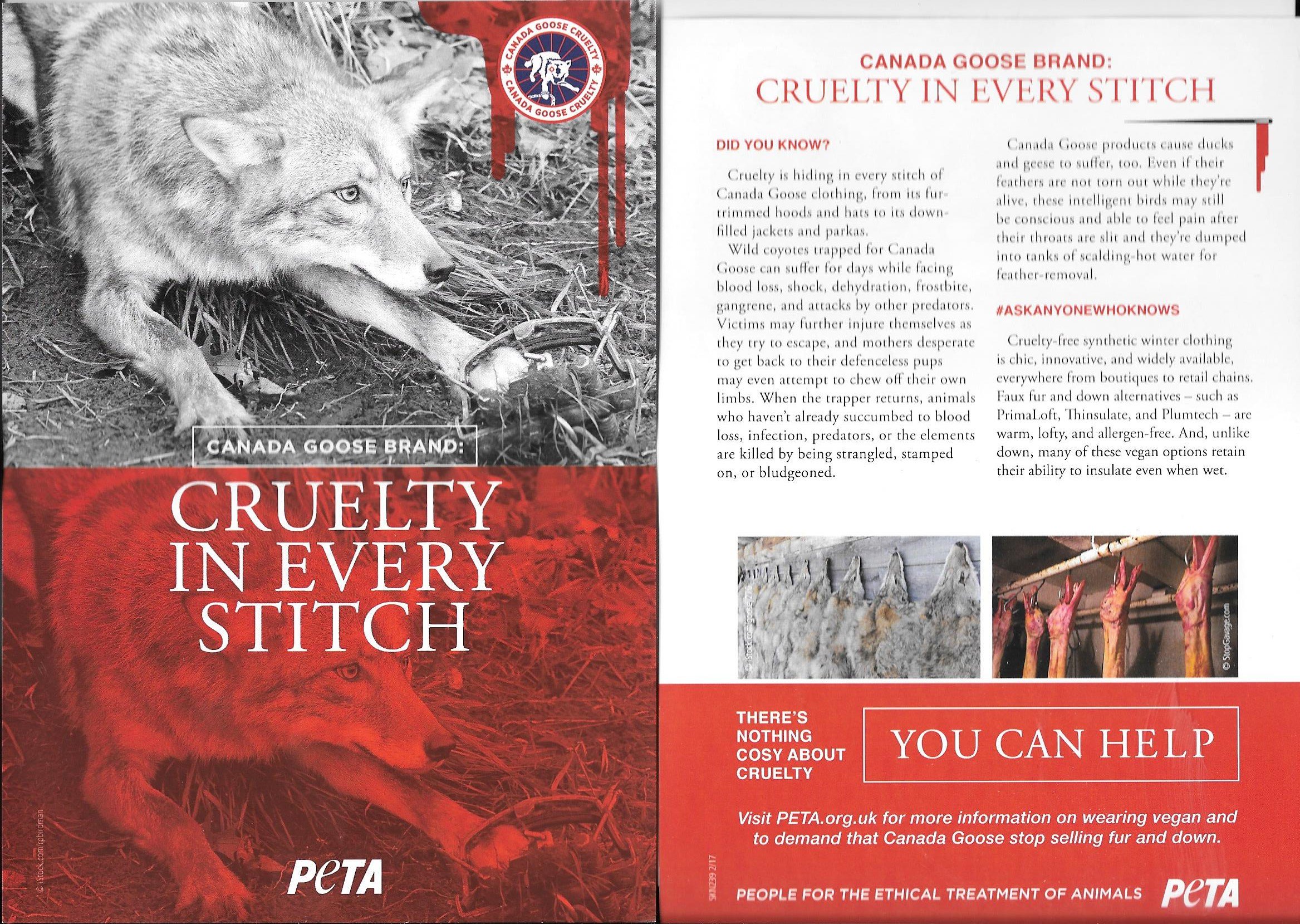 Angela Humphery on X NO EXCUSE FOR CANADA GOOSE ANIMAL ABUSE. DUMP THAT COYOTE COLLAR. ITS NOT ROADKILL AS THEY TOLD A WEARER WHO BOUGHT HERS IN NEW YORK. ARE NEW YORKERS
