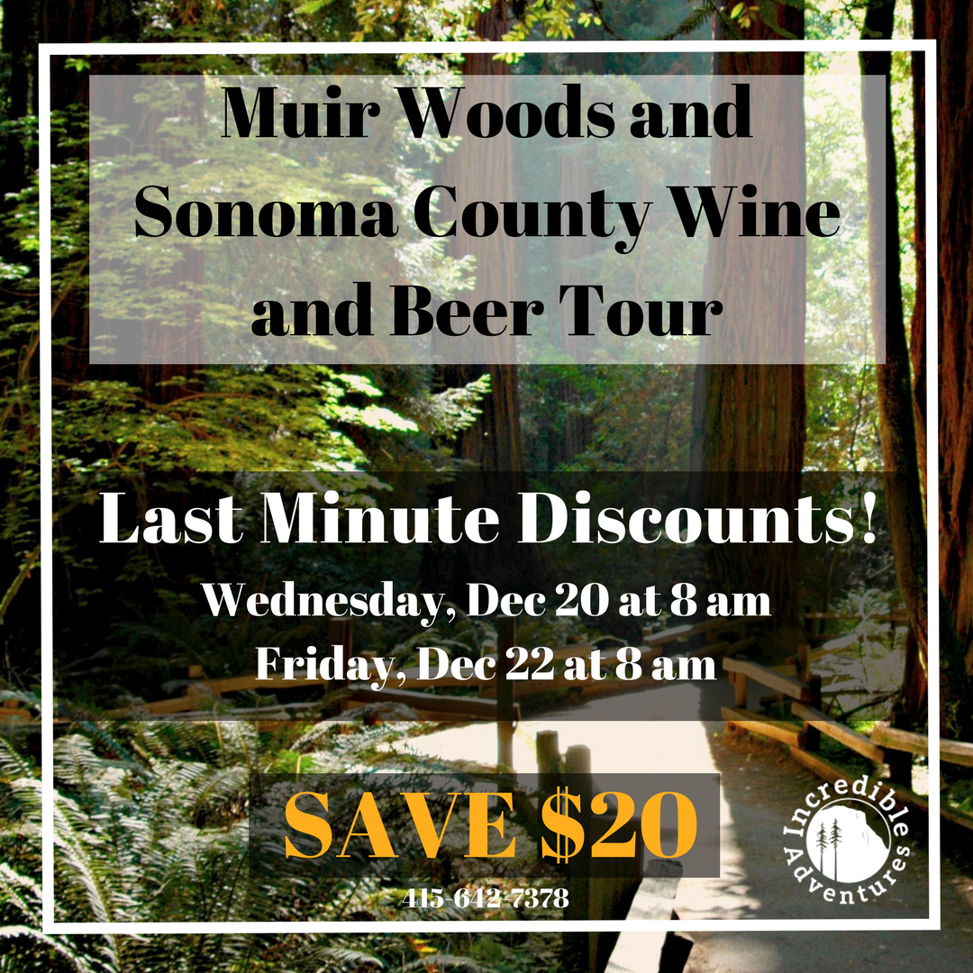 #LastMinuteDeal for our trip out of #SF to #Muirwoods and #winecountry. Come explore with us (and pick up some wine for your holiday party!) incadventures.com/tour/muir-wood…