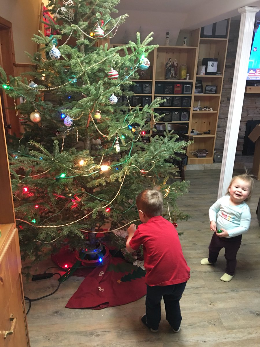 MLCoopAgTeam's tweet photo. First the tree, then the decorations.  Merry Christmas to all! https://t.co/AA2eaoNLD7