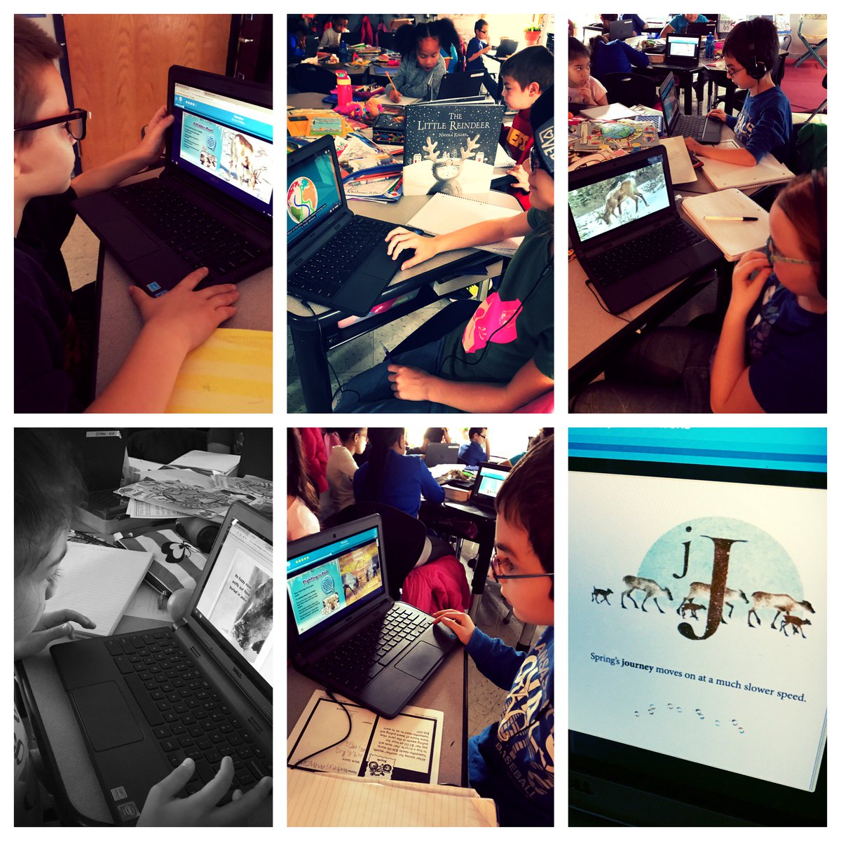 LJohnsonTeacher's tweet image. Caribou research! #multiplesources #3TEPride #isdstrong #kcedu @3TrailsTigers @ISDSchools @NatGeo @NGKids @EpicKidsBooks @LearningAtoZ @nicolakillen #ISD3rdGrade