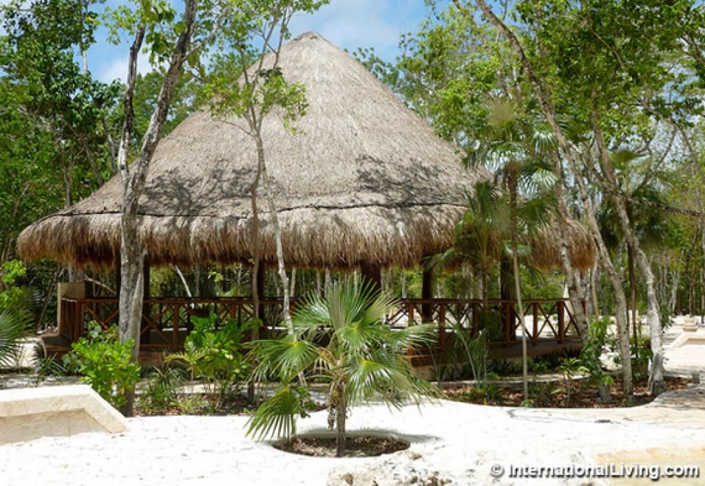 BridalBeach's tweet photo. A Place in the Sun? Tulum, Mexico provides the ideal #BeachLife destination - @HuffPost https://t.co/I2VBOZD1q4 https://t.co/TGXBEP3JMg