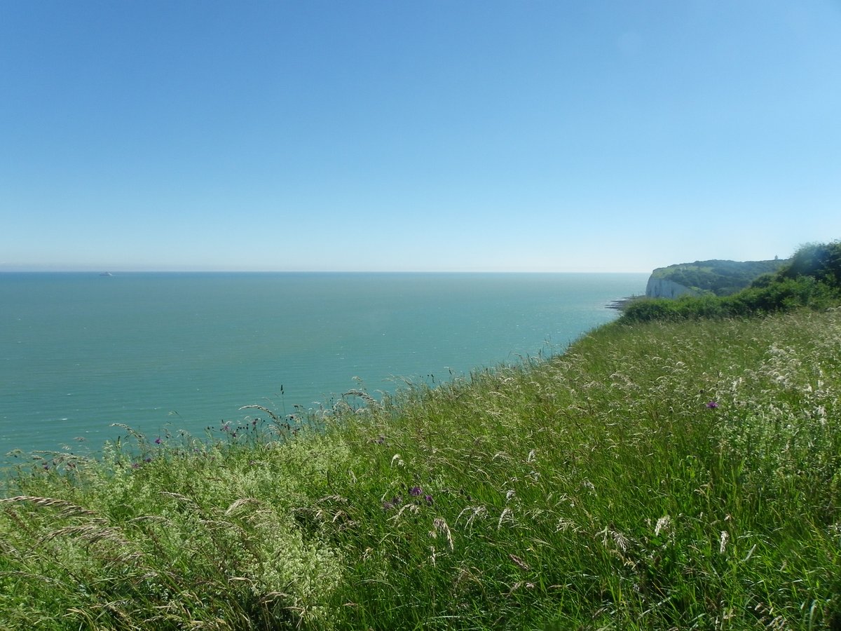 Dates for Diary 2018: #Walking in #WhiteCliffsCountry 23rd–29th August White Cliffs #Walking Festival  - book early to avoid disappointment and see here for #walks in #WhiteCliffsCountry  throughout year whitecliffsramblers.org.uk  <a href="/destdover/">Destination Dover</a> <a href="/DoverWaW/">DoverWelcomesWalkers</a> #Staycation <a href="/WalkersrWelcome/">Walkers are Welcome</a>